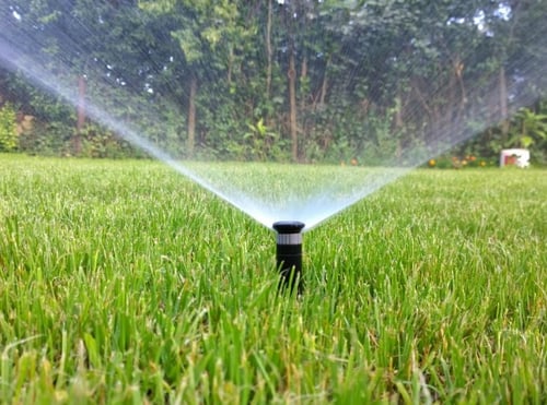 Landscape Maintenance | Down To Earth |  landscape irrigation |  irrigation system installation