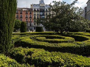 Landscaping Maintenance