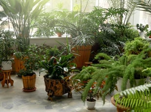 Landscape enhancement | indoor space