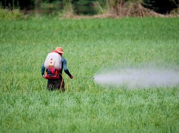 DTEL- Pesticide