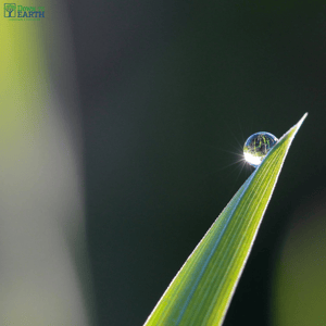 landscape maintenance | DTELandscape