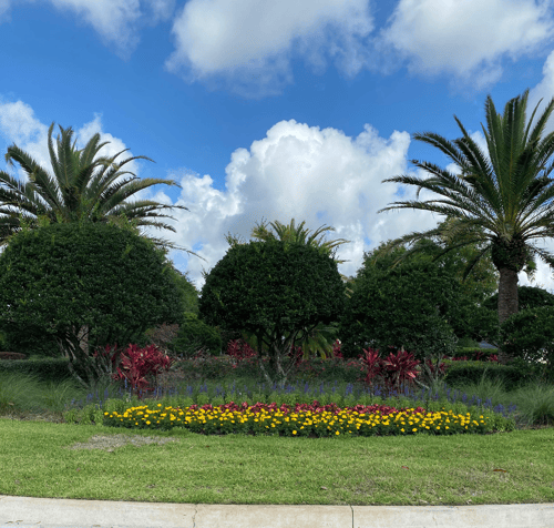 Florida Landscaping | DTE Landscape