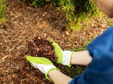 Fall Mulch Tips | Mulching | fall mulching