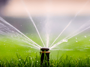 Sprinkler
