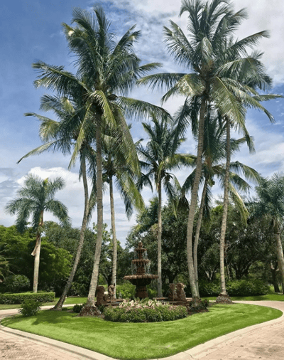 DTE Landscape- Florida | Landscape Design