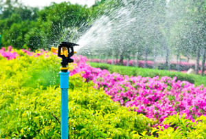 irrigation and landscape management | Down To Earth Landscaping