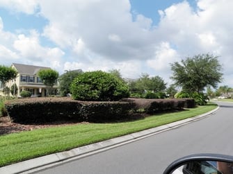 Driveway | Curb Appeal | Down To Earth