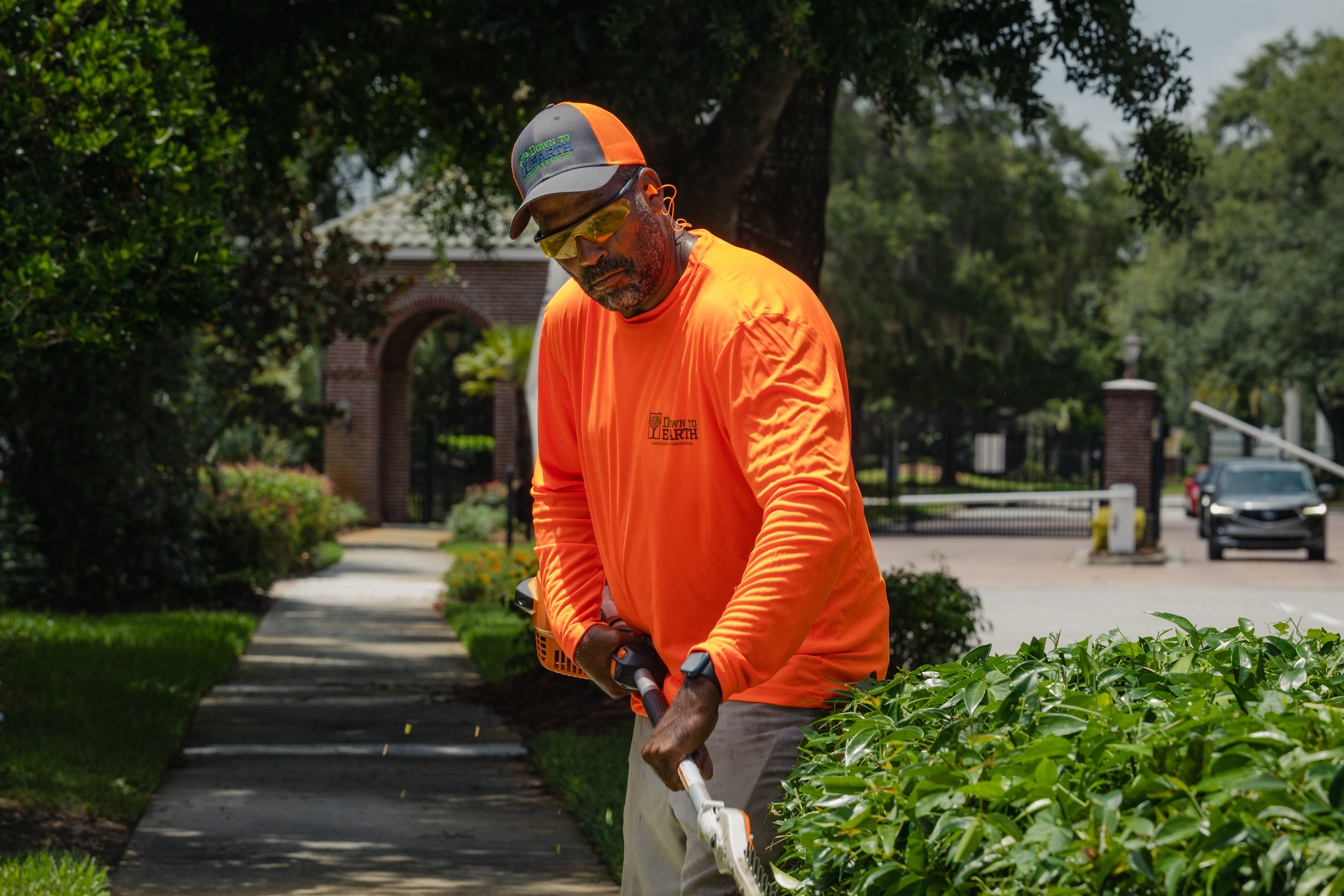 Certified Arborists | DTE Landscape