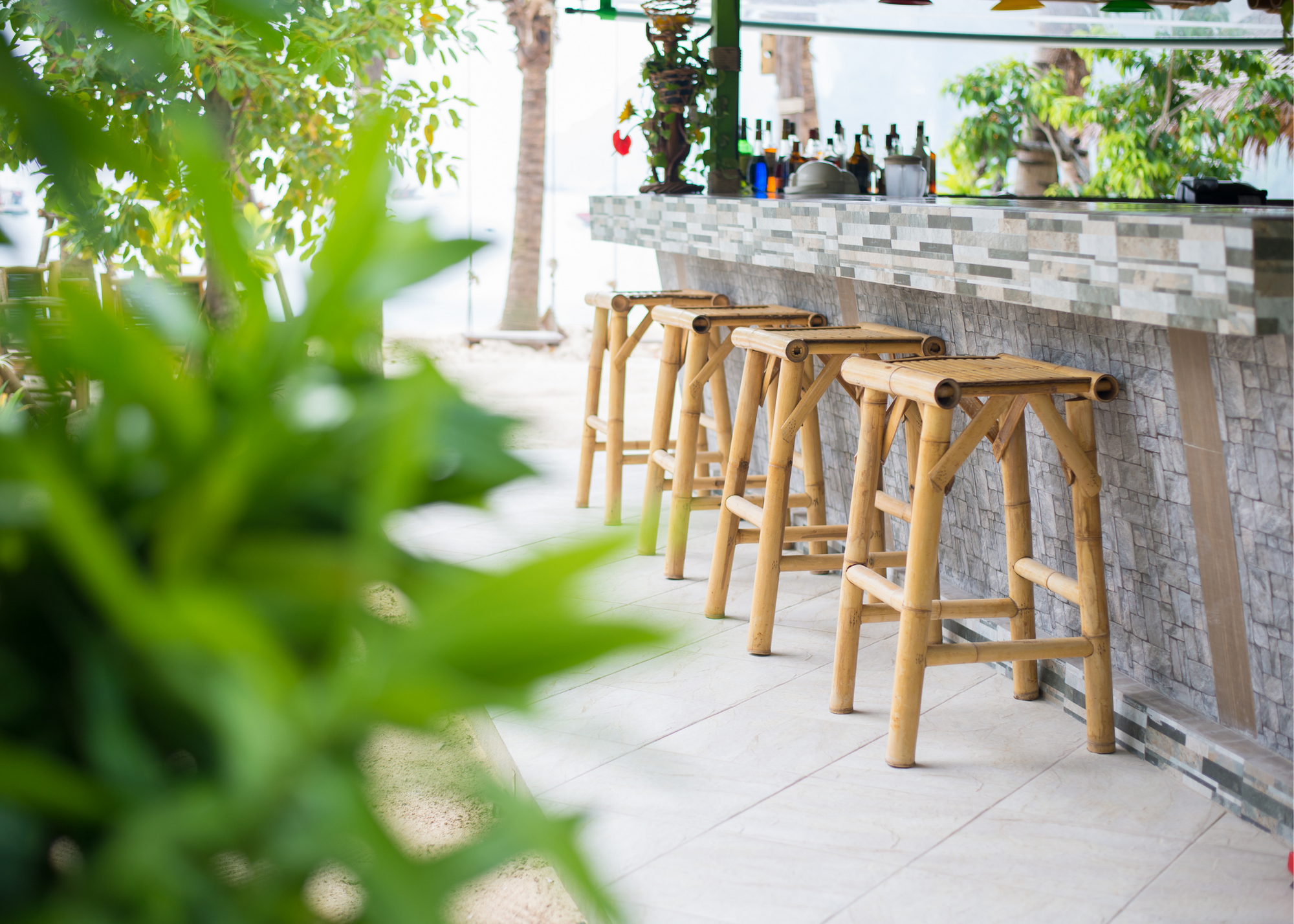 Indoor Plants | Hardscapes | Down To Earth