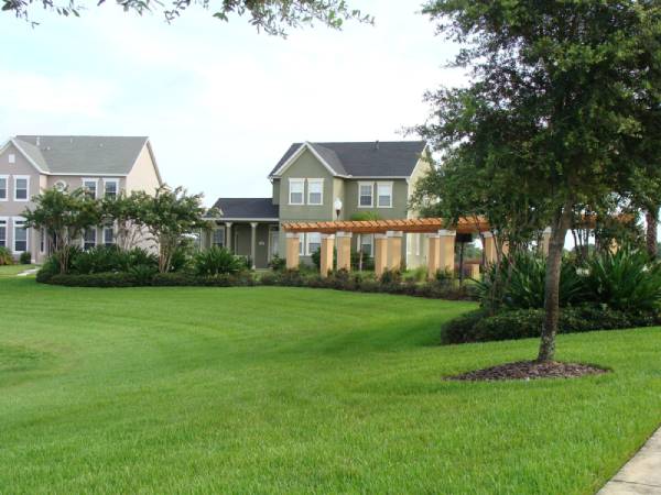 Florida Landscaping