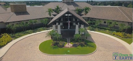 Landscaping Maintenance | Down To Earth | Curb Appeal
